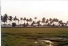 Alappuzha