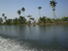 Alappuzha