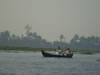 Alappuzha